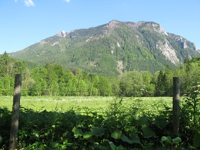 Scheibe und Scheiblingstein